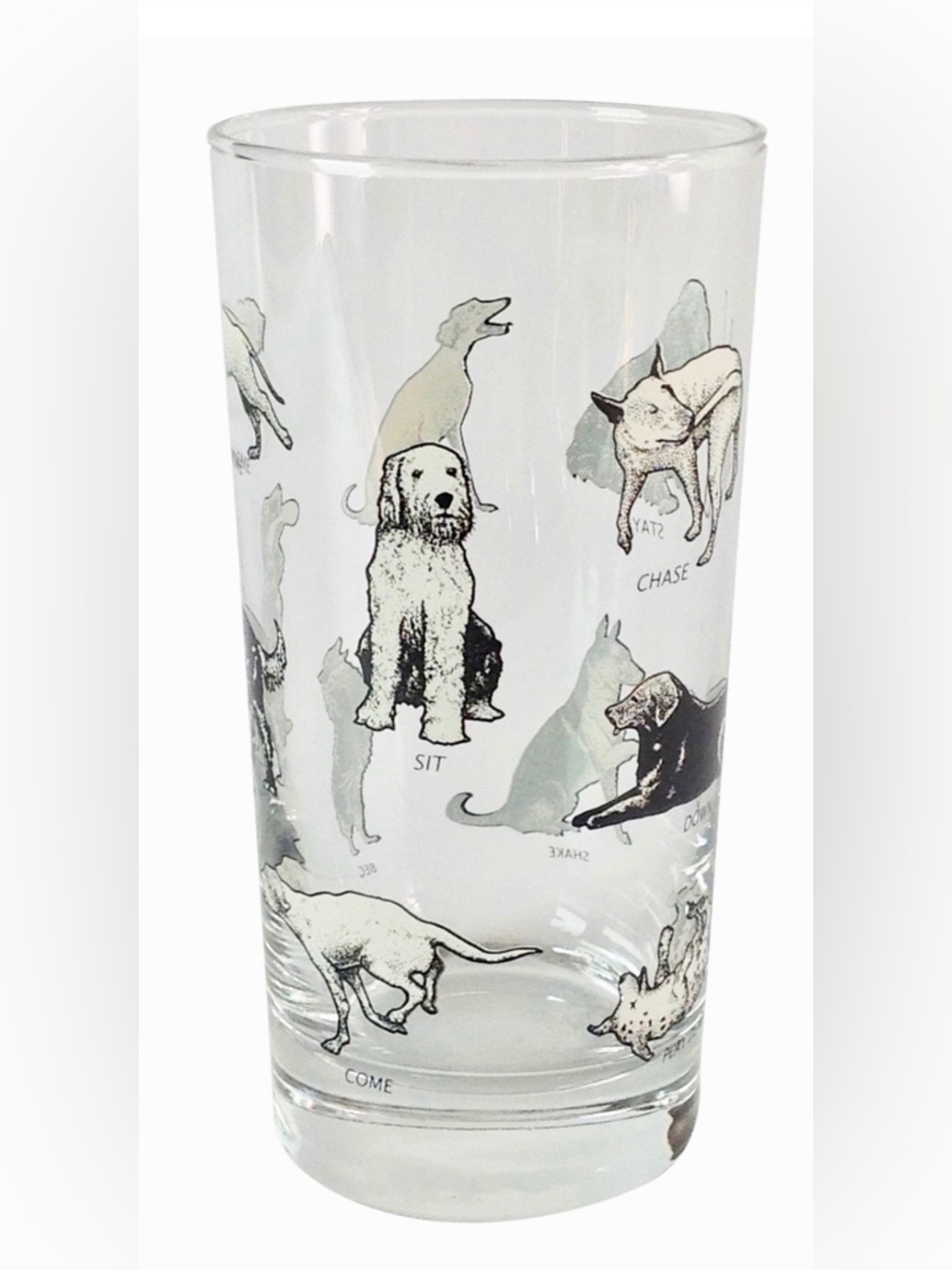Fishs Eddy Dog Commands Glass